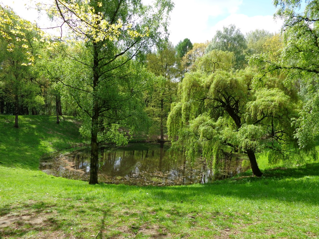 DSC00450